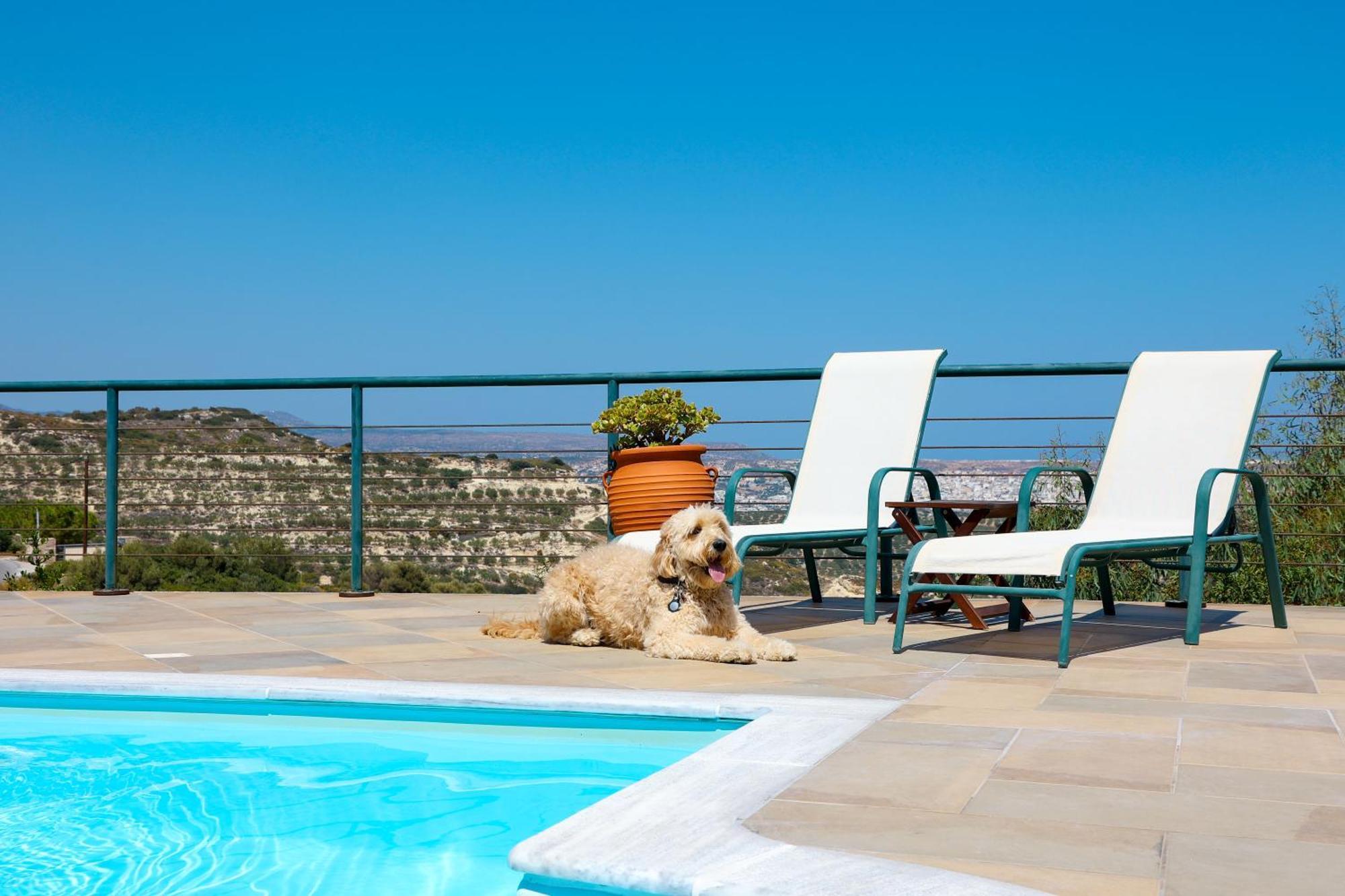 Roussa Village Sitia  Dış mekan fotoğraf